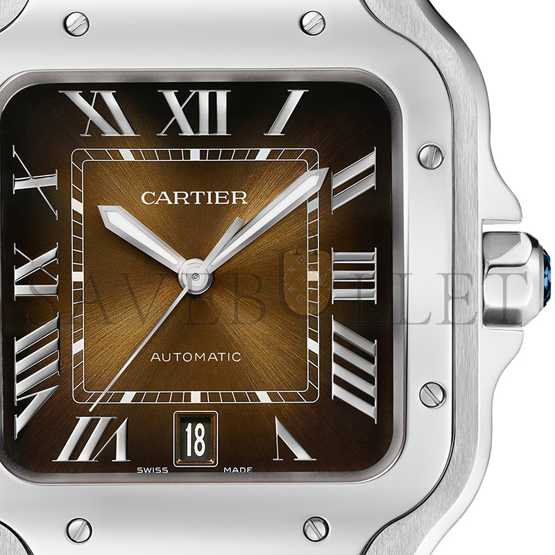 CARTIER SANTOS DE CARTIER WATCH 39.8MM WSSA0064